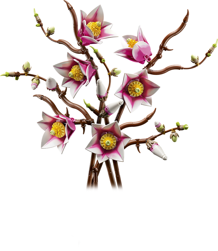 BONTANICALS: MAGNOLIA BRANCHES