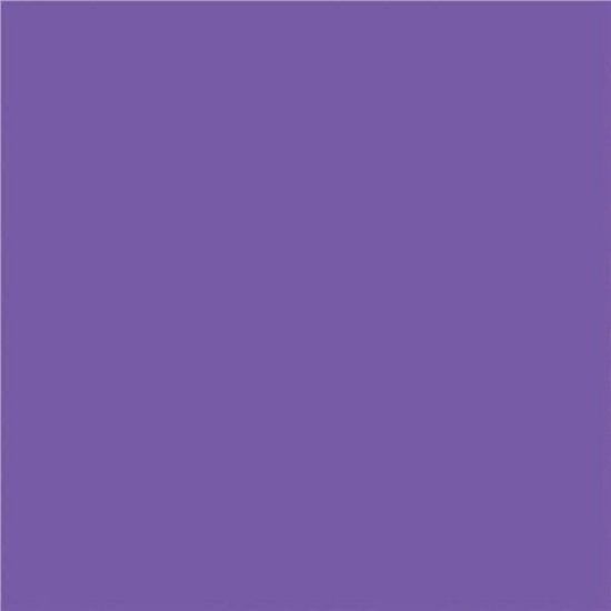 Image PURPLE 12X18" CONSTR.PAP. (48)