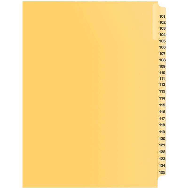 Image Litigation Index Dividers
