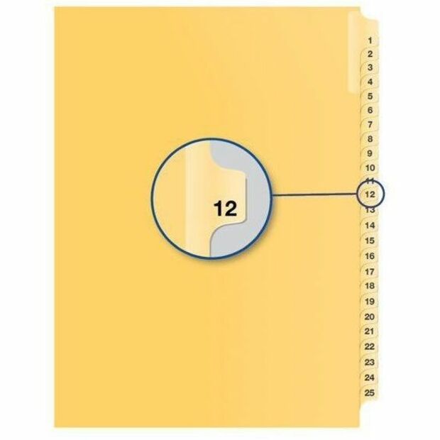 Image Quest Numerical Litigation Index Dividers