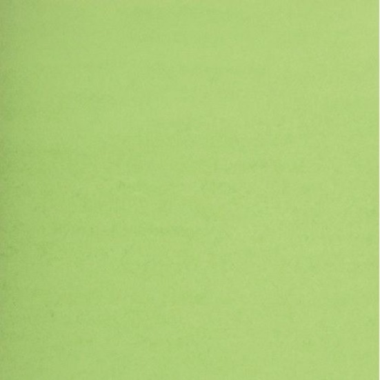Image L.GREEN BRIS.BOARD 2P.22X28" (48)