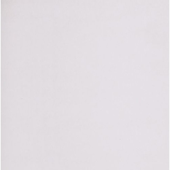 Image CARTON BRIST.BLANC 2P.22X28" (48)