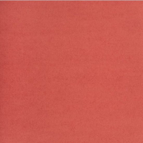 Image RED BRIS.BOARD 2P.22X28" (48)