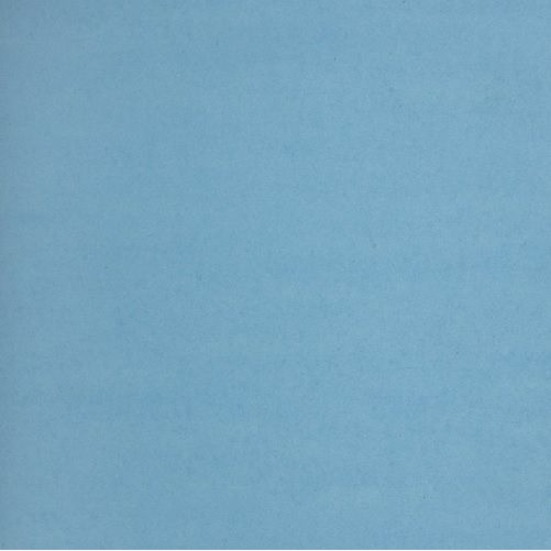 Image L.BLUE BRIS.BOARD 2P.22X28" (48)